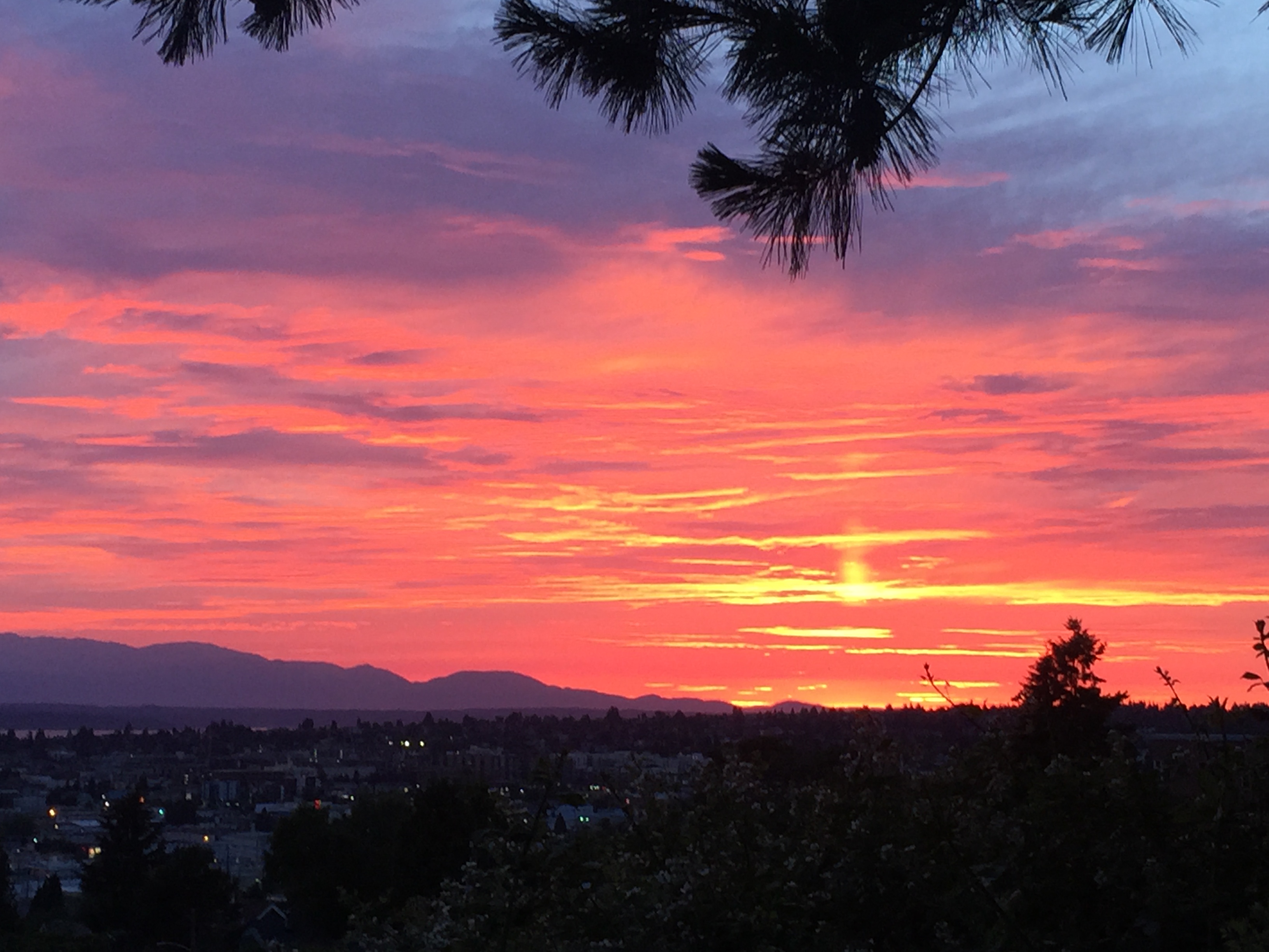 Summer sunset paints the Ballard sky pink and blue – My Ballard