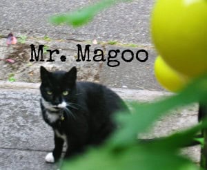 Mr. Magoo