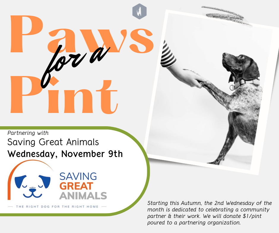 Paws for a Pint: Saving Great Animals – My Ballard