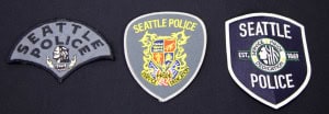 Patches_Through_Year-1024x355