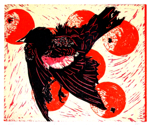 Red-Wing Blackbird by Karen Klee-Atlin  woodcut 22 X 15