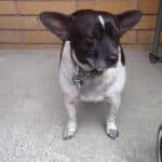 Screen shot 2013-07-04 at 10.53.30 AM