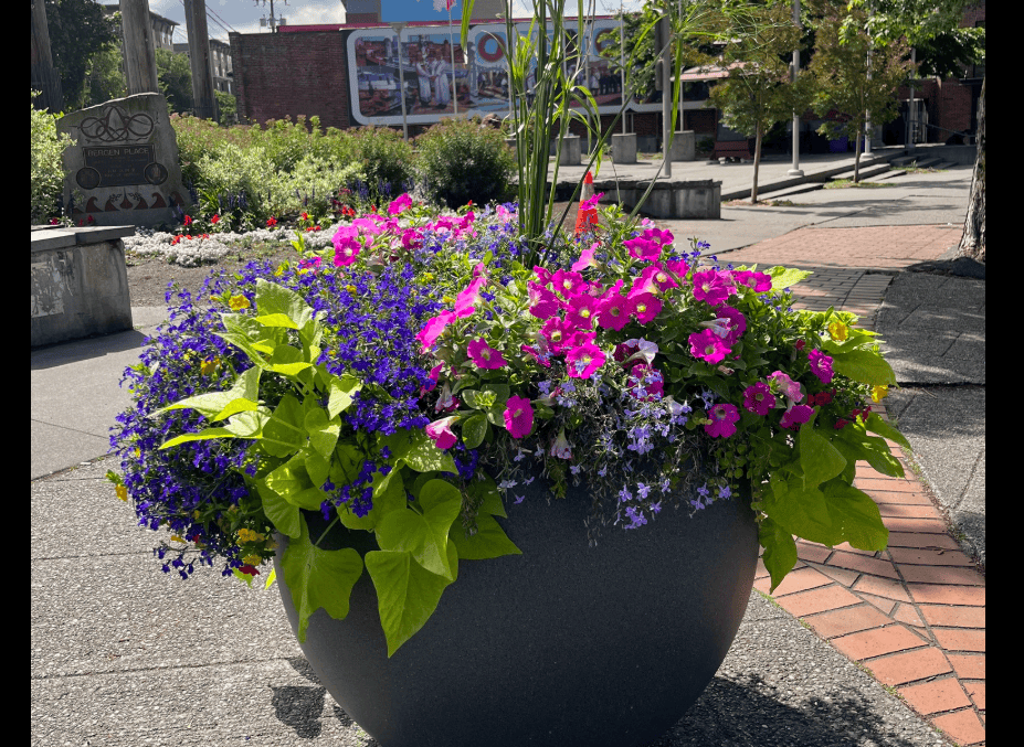 A planter pot filled with colorful flowers.