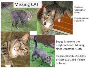 Zooey flyer