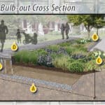 bulb cross